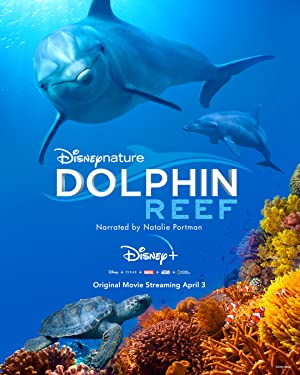 دانلود فیلم Dolphin Reef